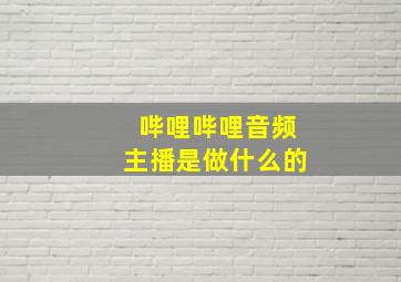 哔哩哔哩音频主播是做什么的