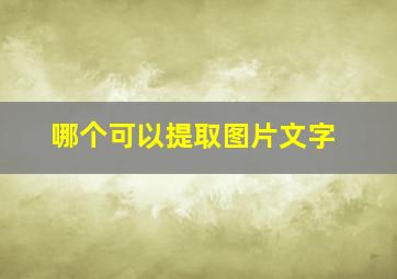 哪个可以提取图片文字