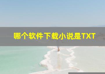 哪个软件下载小说是TXT