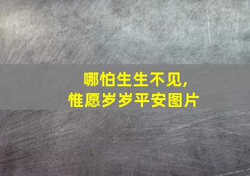 哪怕生生不见,惟愿岁岁平安图片