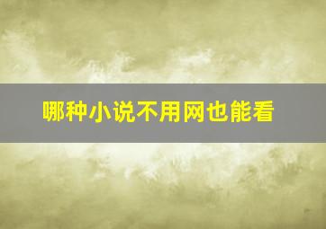 哪种小说不用网也能看