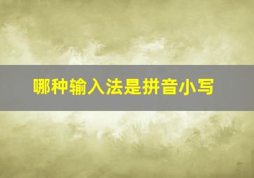 哪种输入法是拼音小写