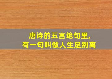 唐诗的五言绝句里,有一句叫做人生足别离