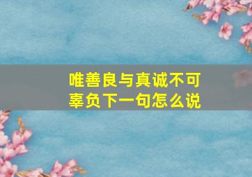 唯善良与真诚不可辜负下一句怎么说