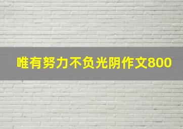 唯有努力不负光阴作文800