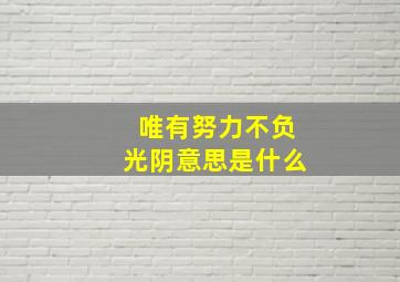 唯有努力不负光阴意思是什么