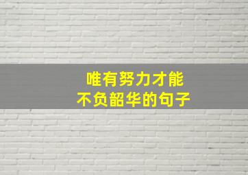 唯有努力才能不负韶华的句子