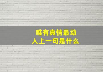 唯有真情最动人上一句是什么