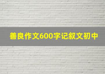 善良作文600字记叙文初中