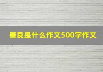 善良是什么作文500字作文