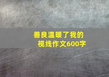 善良温暖了我的视线作文600字