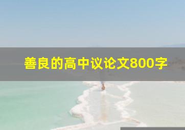 善良的高中议论文800字