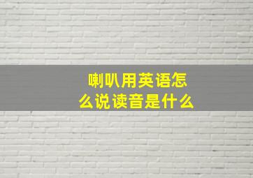 喇叭用英语怎么说读音是什么