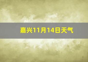 嘉兴11月14日天气