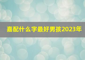 嘉配什么字最好男孩2023年