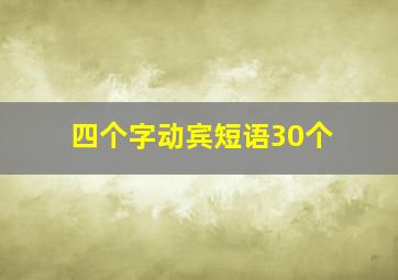 四个字动宾短语30个