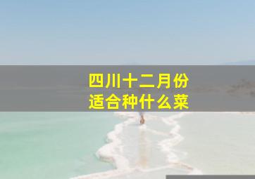 四川十二月份适合种什么菜