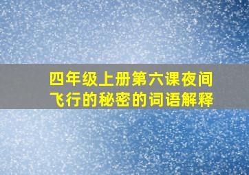 四年级上册第六课夜间飞行的秘密的词语解释