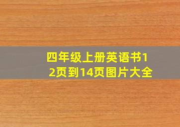 四年级上册英语书12页到14页图片大全