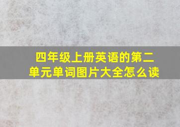 四年级上册英语的第二单元单词图片大全怎么读