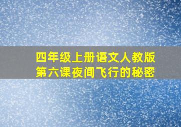 四年级上册语文人教版第六课夜间飞行的秘密