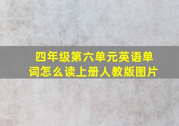 四年级第六单元英语单词怎么读上册人教版图片