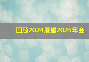 回顾2024展望2025年会