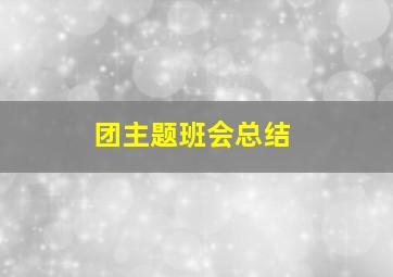 团主题班会总结