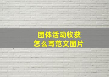 团体活动收获怎么写范文图片