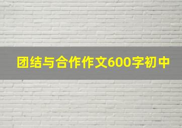 团结与合作作文600字初中