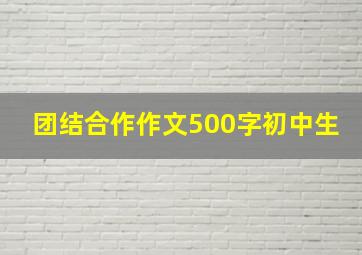 团结合作作文500字初中生