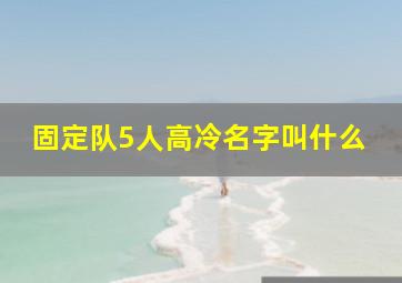 固定队5人高冷名字叫什么