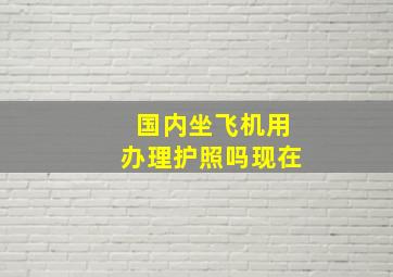 国内坐飞机用办理护照吗现在