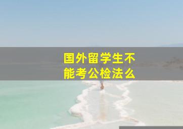 国外留学生不能考公检法么