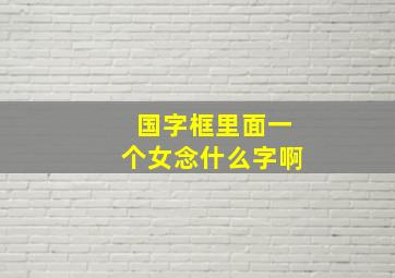 国字框里面一个女念什么字啊