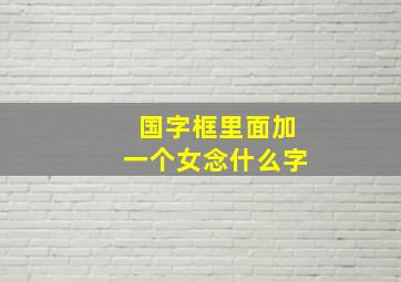 国字框里面加一个女念什么字