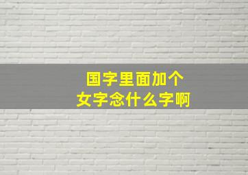 国字里面加个女字念什么字啊