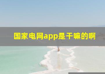 国家电网app是干嘛的啊