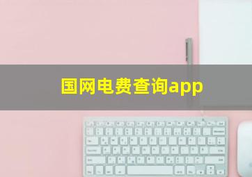 国网电费查询app