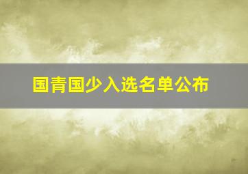 国青国少入选名单公布