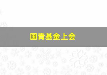 国青基金上会