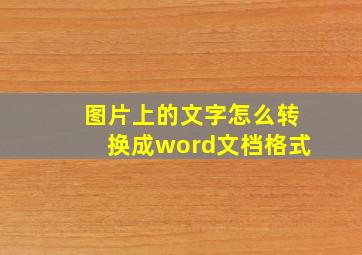 图片上的文字怎么转换成word文档格式