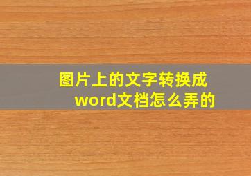 图片上的文字转换成word文档怎么弄的