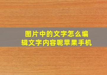 图片中的文字怎么编辑文字内容呢苹果手机