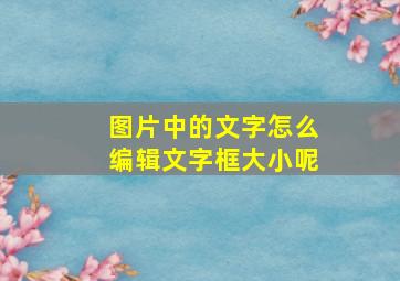 图片中的文字怎么编辑文字框大小呢