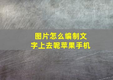 图片怎么编制文字上去呢苹果手机