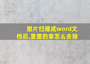 图片扫描成word文档后,里面的章怎么去除