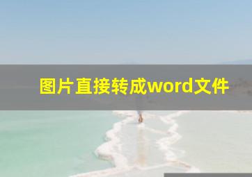 图片直接转成word文件