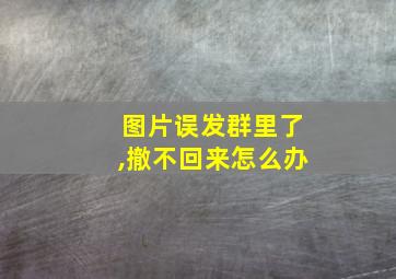 图片误发群里了,撤不回来怎么办