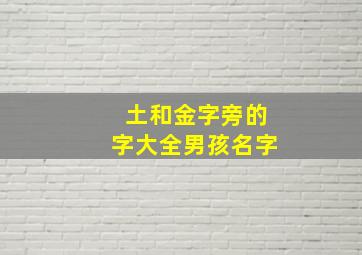 土和金字旁的字大全男孩名字